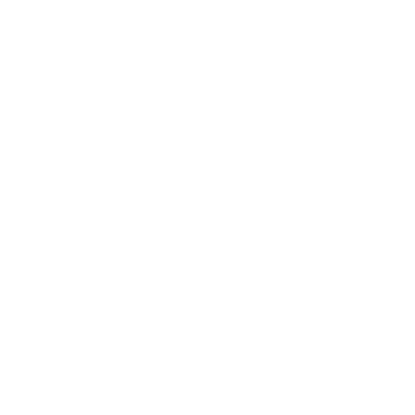 Icono de seguridad de sistemas